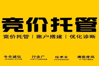 优化SEM代理策略，助力企业增长